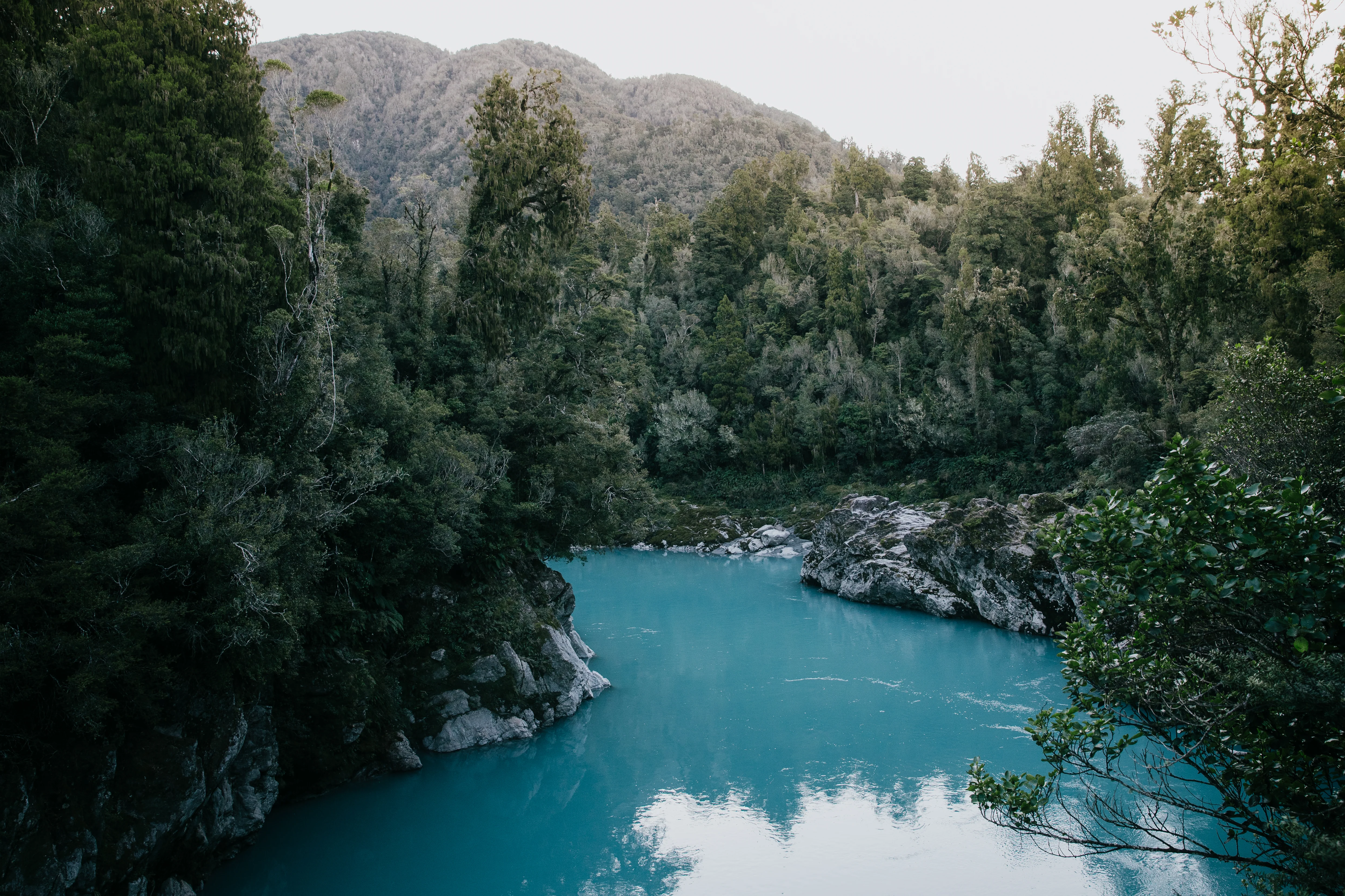 Clear blue river running through a forest